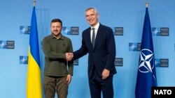 Генсек НАТО Єнс Столтенберґ (п) вітає президента України Володимира Зеленського в штаб-квартирі альянсу в Брюсселі 27 червня 2024 року