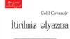 Cəlil Cavanşirin romanı müzakirəyə çıxarıldı (Romandan parça)