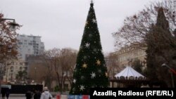 Bakının mərkəzində qurulan yolka