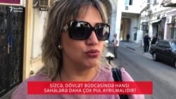 Sizcə, dövlət büdcəsində hansı sahələrə daha çox pul ayrılmalıdır?